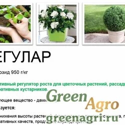 Регулар, Даминозид 950 г/кг