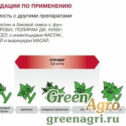 Строби,ВДГ ( 500 г/кг) 0,2 кг