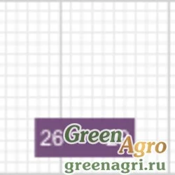 Семена ADEMA RZ F1