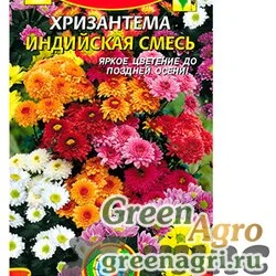 Семена пакетированные Хризантема индийская смесь Плазма Ц