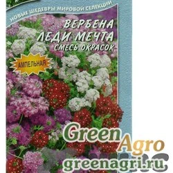Семена пакетированные Вербена Леди Мечта Аэлита Ц