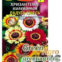 Семена пакетированные Хризантема Радуга смесь плазма Ц