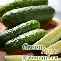 Семена Огурец посевной (Cucumis sativus) "GherKing" raw 500 шт.