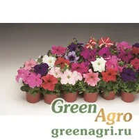 Семена Петуния крупноцветковая (Petunia grandiflora) "Bravo F1" (uni mix) Pelleted 1000 шт.