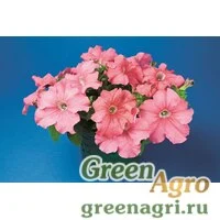 Семена Петуния крупноцветковая (Petunia grandiflora) "Bravo F1" (salmon) Raw 1000 шт.