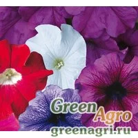 Семена Петуния крупноцветковая (Petunia grandiflora) "Donna F1" (full mixed) raw 1000 шт.
