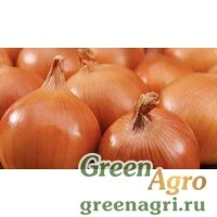 Семена Боско F1 250 тыс. семян, Syngenta
