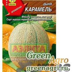 Семена пакетированные Дыня Карамель 1г Аэлита Ц