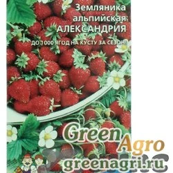 Семена пакетированные Земляника Александрия альпийская Марс Ц
