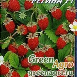 Семена пакетированные Земляника Регина альпийская Аэлита Ц