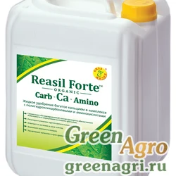 Reasil Forte Carb-Ca-Amino (Реасил Форте Карб-Ca-Амино)