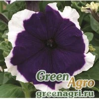 Семена Петуния крупноцветковая (Petunia grandiflora) "Frost F1" (blue) raw 1000 шт.