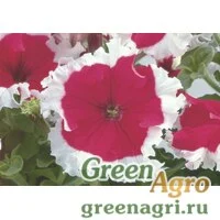 Семена Петуния крупноцветковая (Petunia grandiflora) "Frost F1" (cherry) raw 5000 шт.