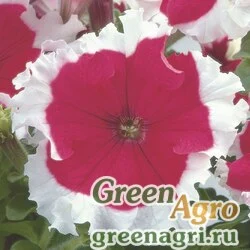 Семена Петуния крупноцветковая (Petunia grandiflora) "Frost F1" (cherry) raw 5000 шт.