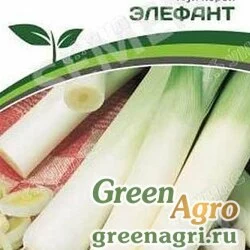 Семена пакетированные Лук порей Элефант 0,5г Партнер Ц