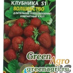 Клубника Волшебство Плазма Ц x10