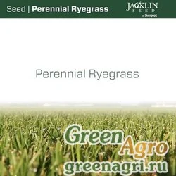 Смесь 3-х сортов райграса Jacklin Seed (22,68 кг)