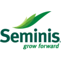 Seminis (Семинис)
