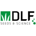 DLF (Дания)